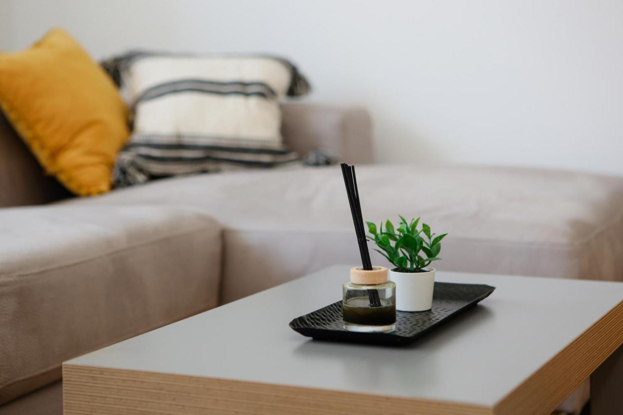 יאסטרברסקו Apartman Grey מראה חיצוני תמונה